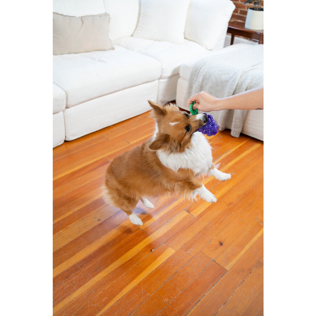 Žaislas šunims vynuogės "Outward Hound Dental Grapes"