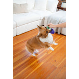 Žaislas šunims vynuogės "Outward Hound Dental Grapes"