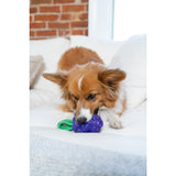 Žaislas šunims vynuogės "Outward Hound Dental Grapes"