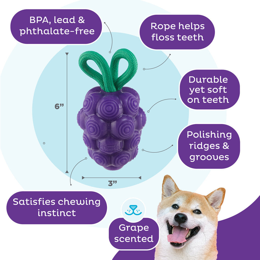 Žaislas šunims vynuogės "Outward Hound Dental Grapes"