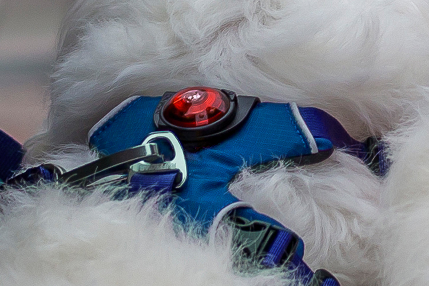 Laikiklis Orbiloc Dog Dual lemputei prisegti "Orbiloc Clip"