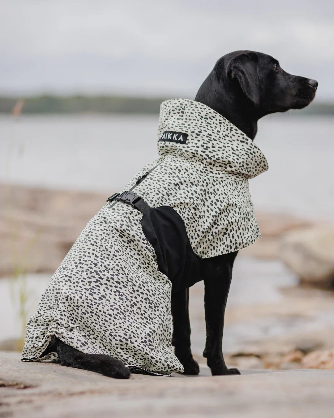Lietpaltis PAIKKA Raincoat 2.0