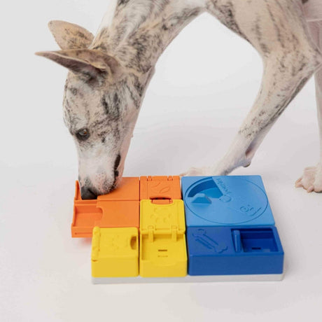 Galvosūkis šunims Pawzler Rainbow Set