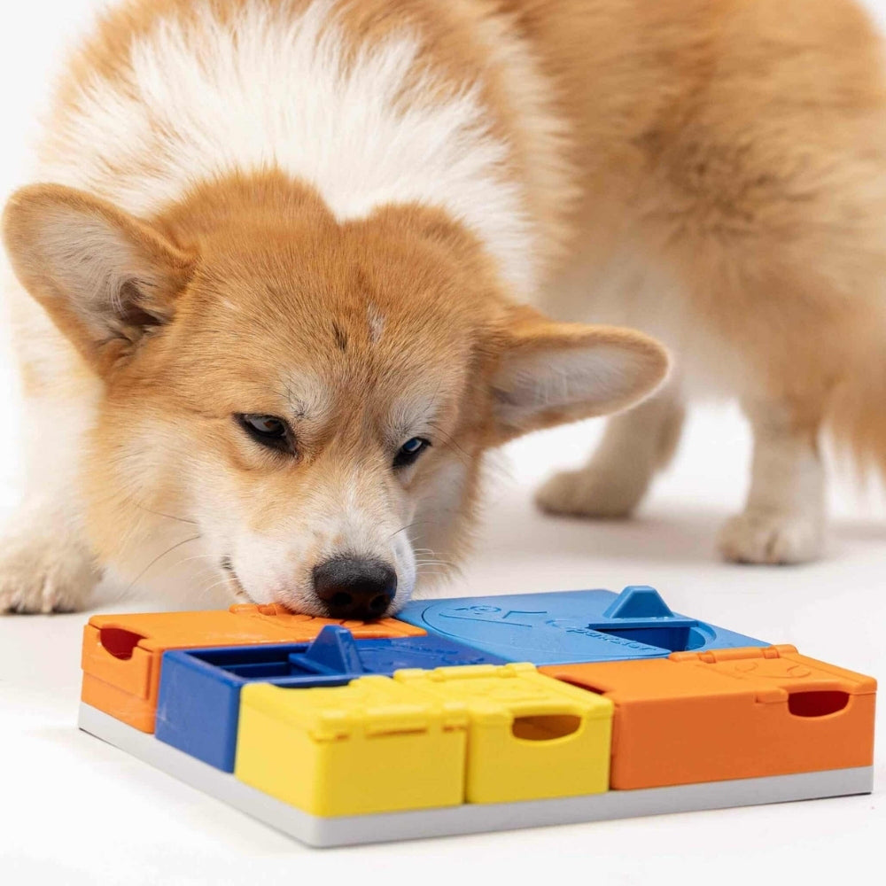 Pawzler Rainbow Set Puzzle for Dogs
