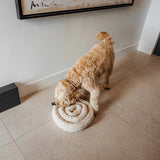 Ieskojimo kilimelis sunims