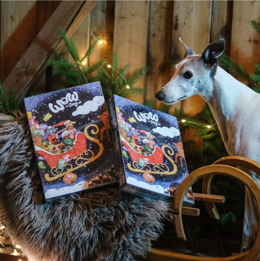Advento kalendorius šunims Wow Dog