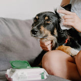 "Beco" Bamboo Fiber Ear Wipes for Dogs (Coconut Scent)