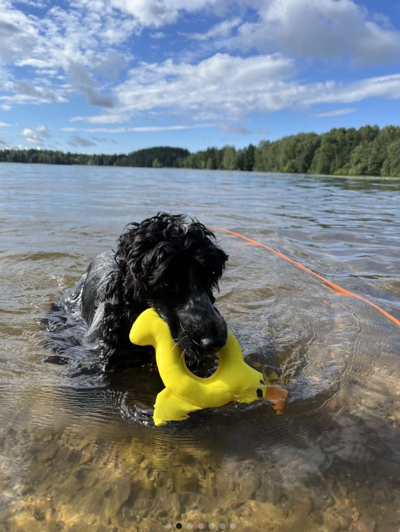 Plūduriuojantis žaislas šunims Rukka Pets Duck Floating Toy