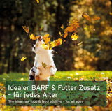 Maisto papildas šunims ir katėms - malti jautienos kaulai "Aniforte Ground Beef Bones"