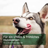 Maisto papildas šunims - žalią mitybą papildantis mišinys "Aniforte BARF Complete"