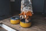 Silikoninis įdėklas dubenėliui lėtam valgymui "Ruffwear Basecamp Slow Feeder Insert"