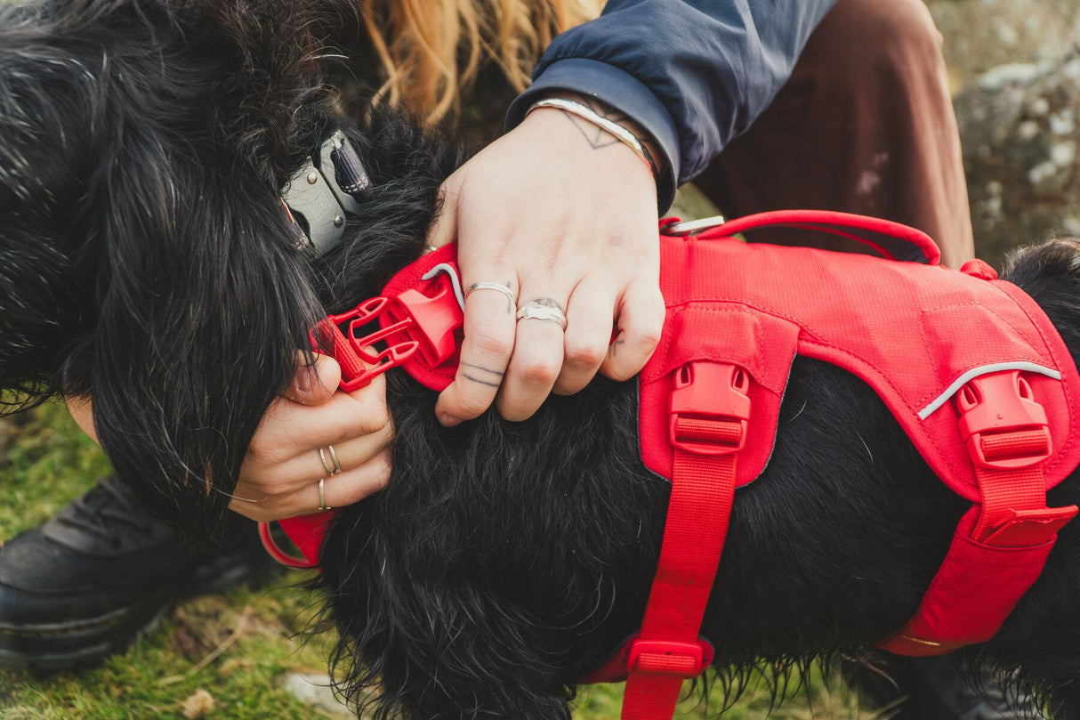 Petnešos "Ruffwear Web Master"