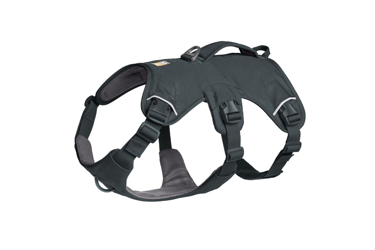 Petnešos "Ruffwear Web Master"