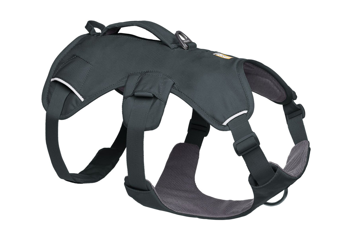 Petnešos "Ruffwear Web Master"