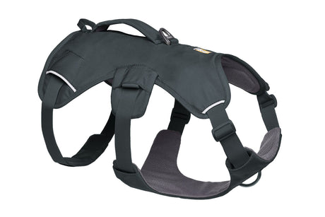 Petnešos "Ruffwear Web Master"