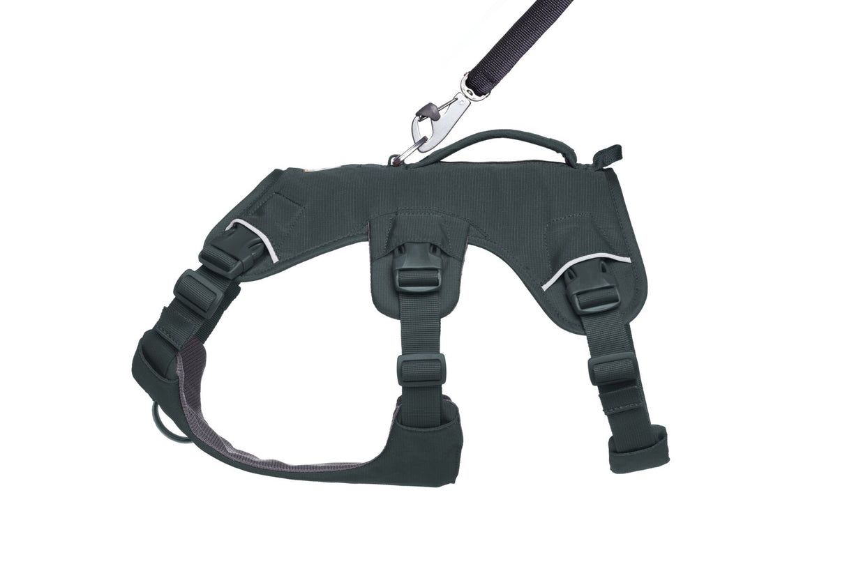 Petnešos "Ruffwear Web Master"