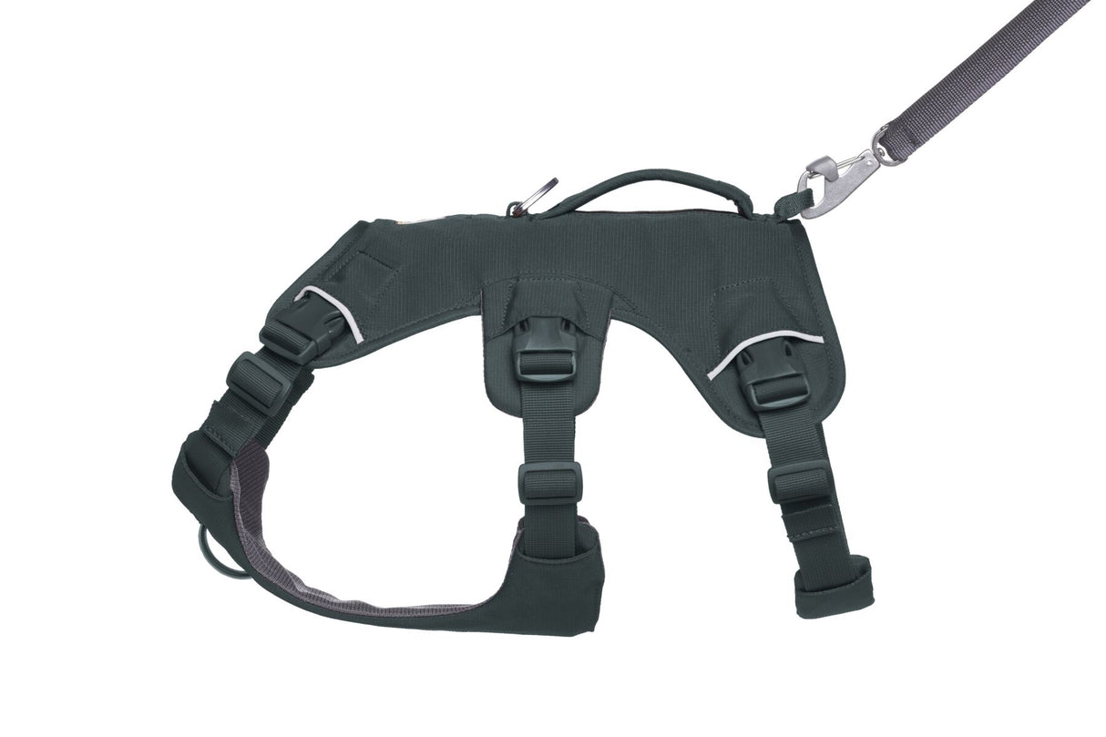Petnešos "Ruffwear Web Master"