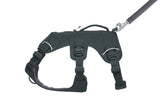 Petnešos "Ruffwear Web Master"