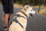 Petnešos "Ruffwear Front Range"