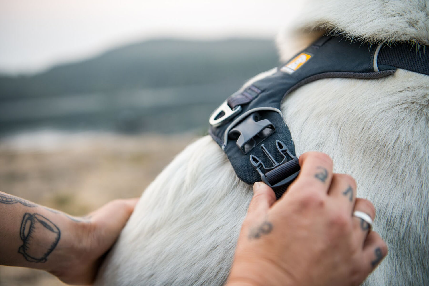 Petnešos "Ruffwear Front Range"