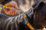 Pavadėlis "Ruffwear Crag"