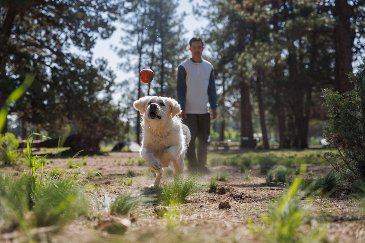 Žaislas "Ruffwear Huckama"