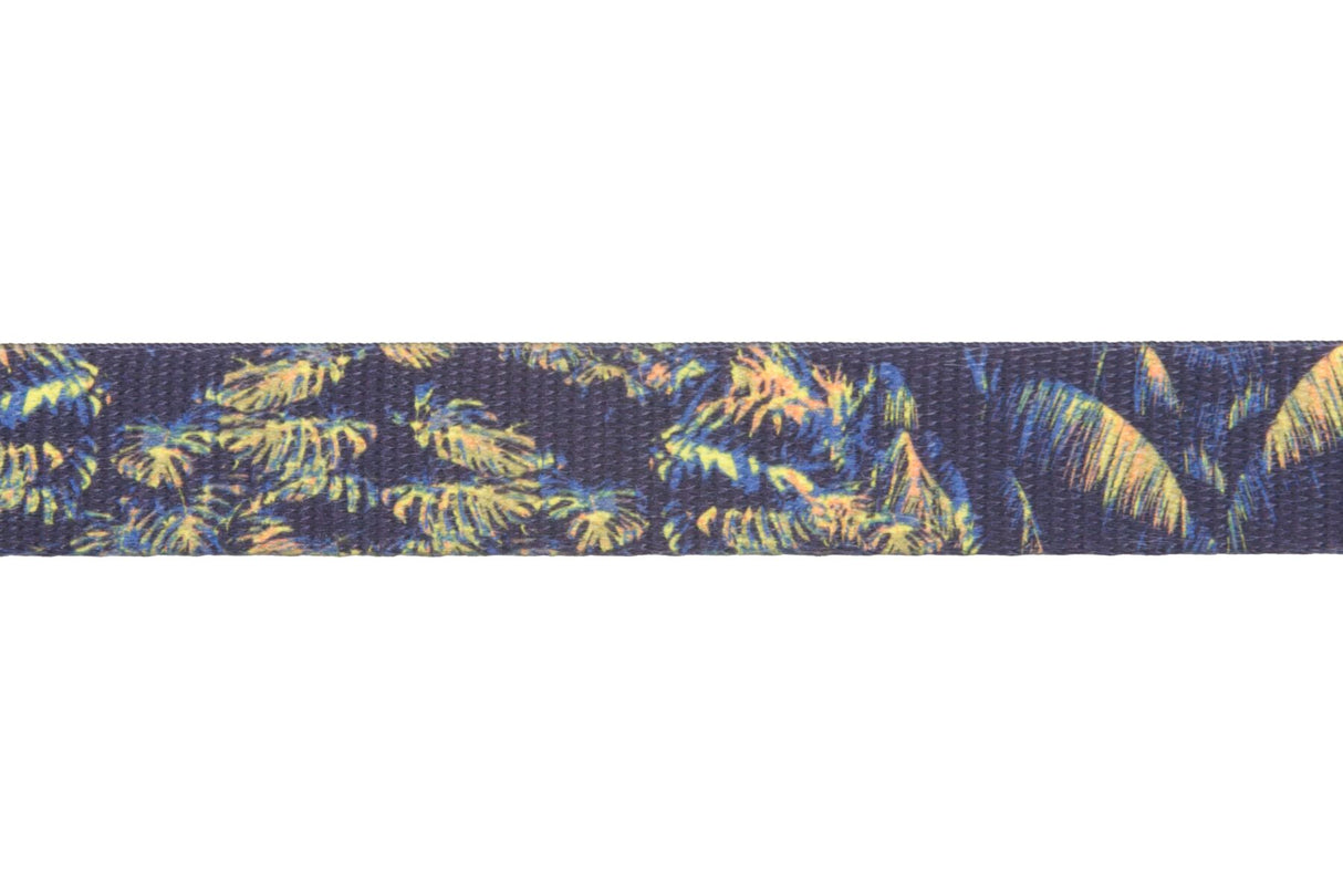 Pavadėlis "Ruffwear Front Range"