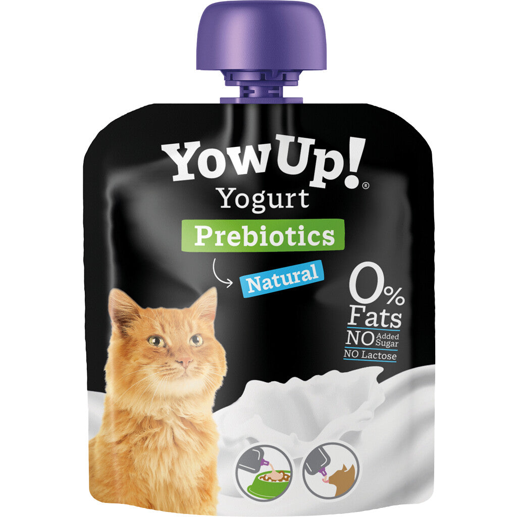 Jogurtas katėms su prebiotikais YowUp! Yogurt Natural Prebiotics