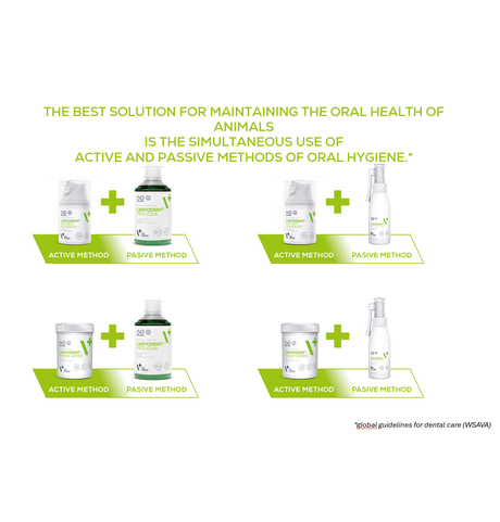 Skystis šunų ir kačių burnos higienai VetExpert Caryodent Proliqua, 250 ml