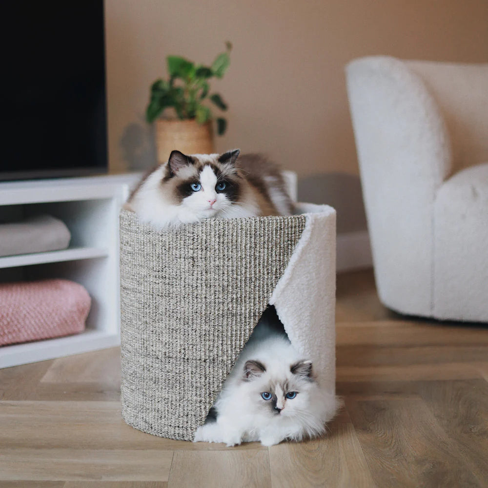 dvieju aukstu namelis katei