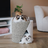 dvieju aukstu namelis katei