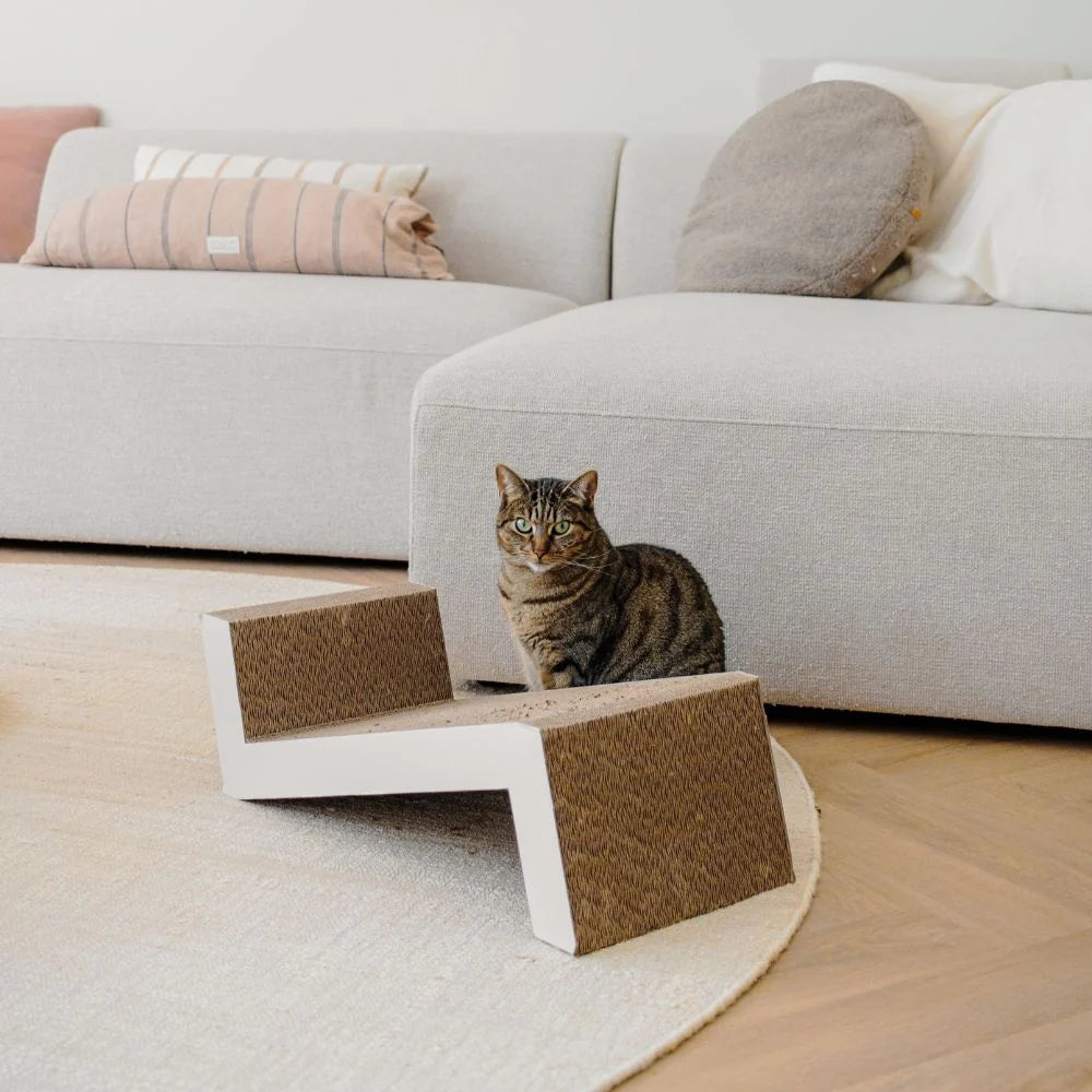 Draskyklė katėms District 70 Sofa