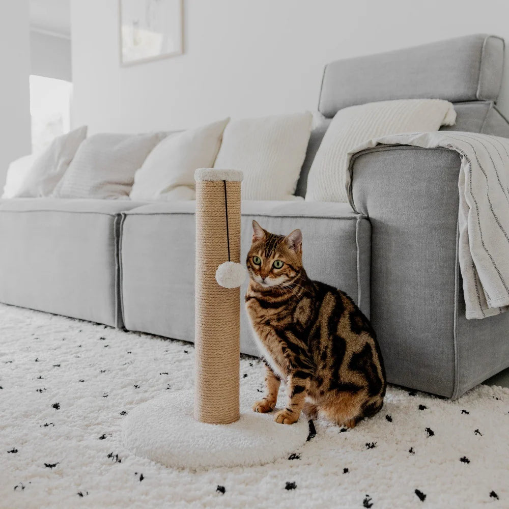 Draskyklė katėms District 70 Donna