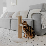 Draskyklė katėms District 70 Donna