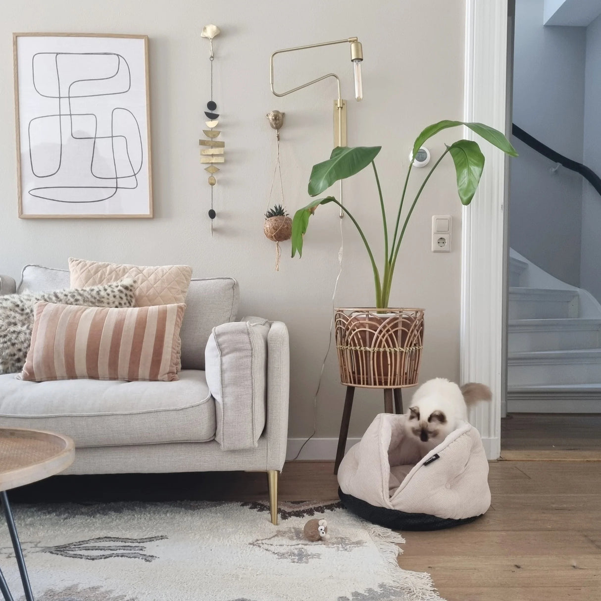 Stilingas guolis katems