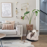 Stilingas guolis katems