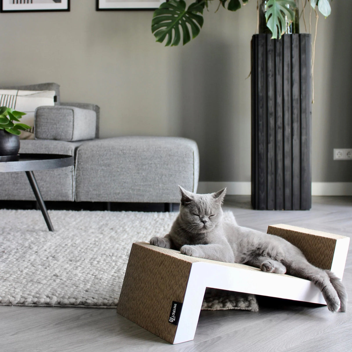 Draskyklė katėms District 70 Sofa