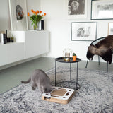 Multifunkcinis žaislas katėms