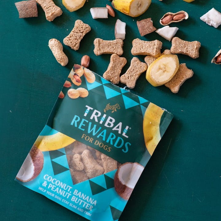 Tribal Rewards sausainiai šunims su kokosu, bananais ir žemės riešutų sviestu