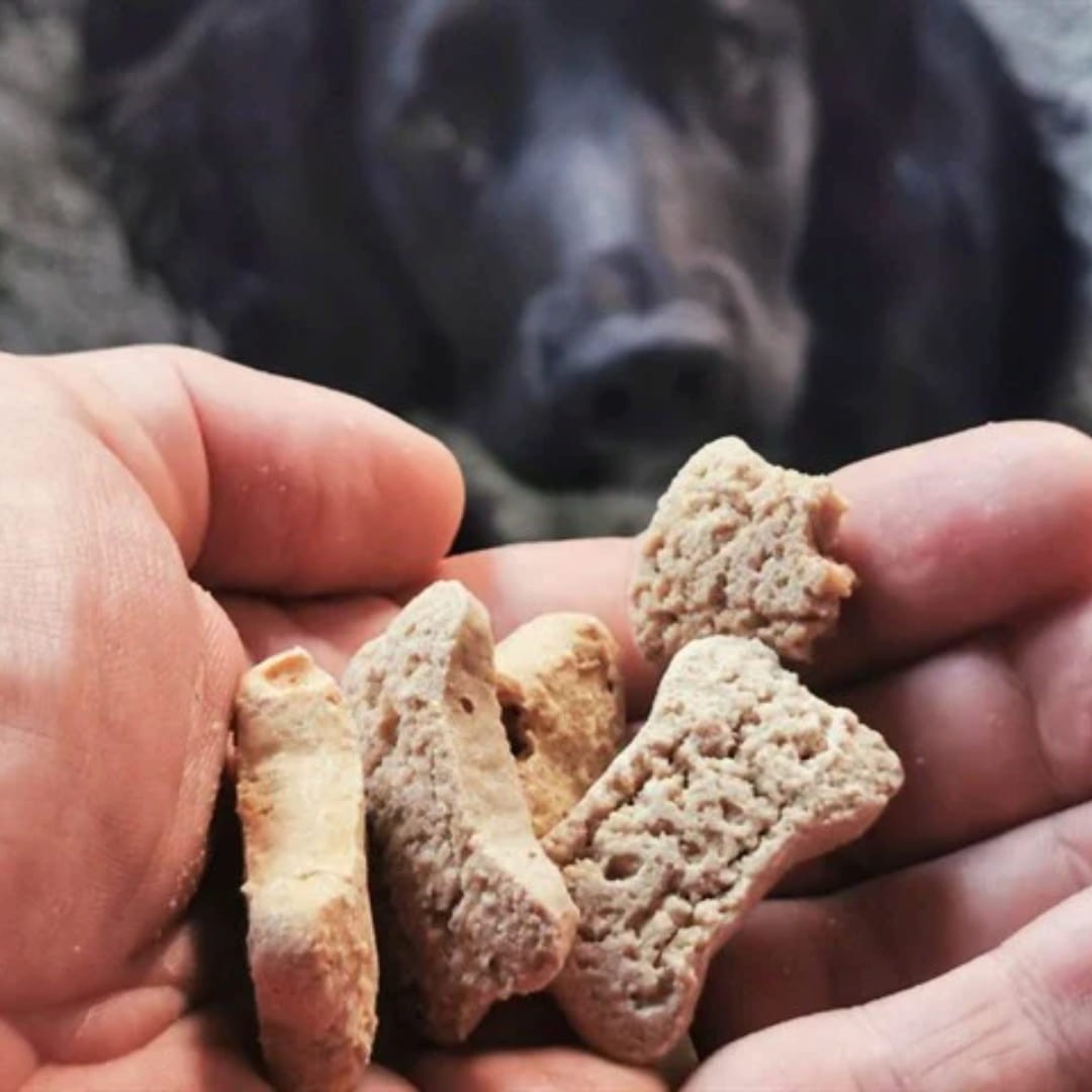 Tribal Rewards sausainiai šunims su tunu ir alyvuogių aliejumi