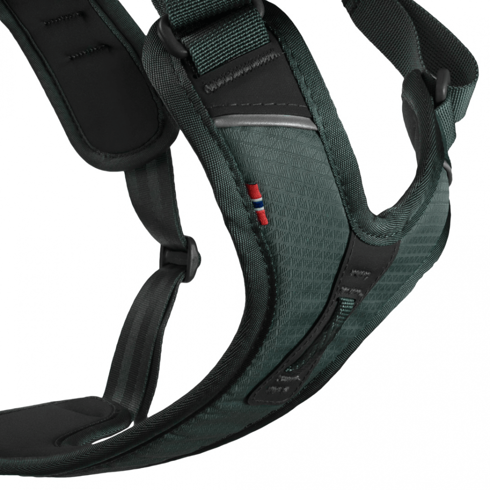 Petnesos non stop ramble sunims close up