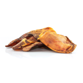 berico kiaules ausys grauzalai sunims